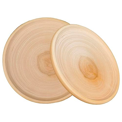 Wooden Plate Craft Kit - Set of 2 Handmade DIY Dish Bowls for Home Decor and Garden - Unfinished Wood Craft Supplies - Large Wooden Plate Blank -