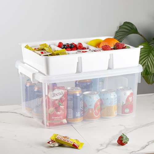 Plastic Storage Box with Removable Tray Craft Organizers and