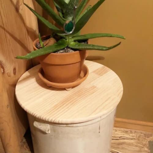 Pack of 5-1" Thick, 15" Wood Rounds for Crafts, Unfinished Wood Sign, 15 inch Wood Round, 15 inch Round Wood Circle, 15 inch Wood Circle MMOBILITY