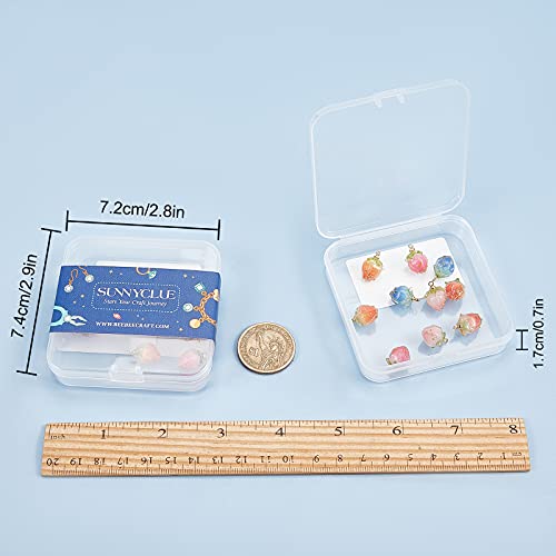 SUNNYCLUE 1 Box 10Pcs 5 Styles Dried Flower Charms Transparent Clear Epoxy Resin Pendants with Brass Hole 1.2mm Glass Micro Beads for DIY Earrings - WoodArtSupply