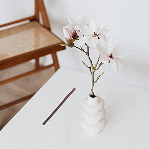 Didiseaon Handmade DIY Forest Branch Natural Twig DIY Decors, Sticks for Crafting Twigs, Natural Tree Bark Rustic Home Decor (40pcs) Didiseaon