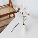 Didiseaon Handmade DIY Forest Branch Natural Twig DIY Decors, Sticks for Crafting Twigs, Natural Tree Bark Rustic Home Decor (40pcs) Didiseaon