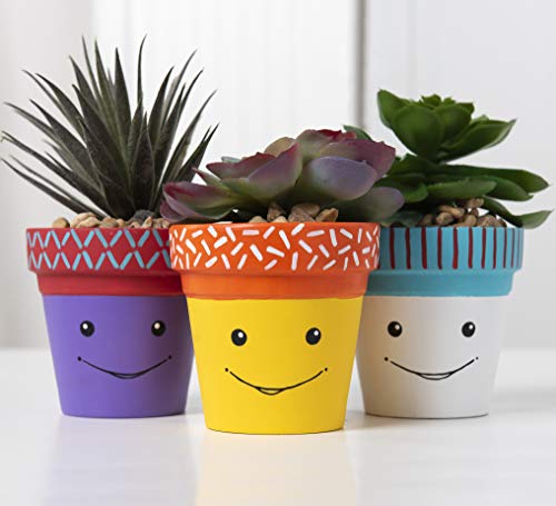 Apple Barrel Acrylic Paint in Assorted Colors (16 Ounce), 21123 Bright Red Apple Barrel