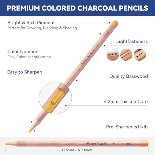 LIGHTWISH Professional Colored Charcoal Pencils,24 Colors Pastel Chalk Pencils Set in Gift Metal Box,for Beginners Adults Artists Shading Drawing - WoodArtSupply