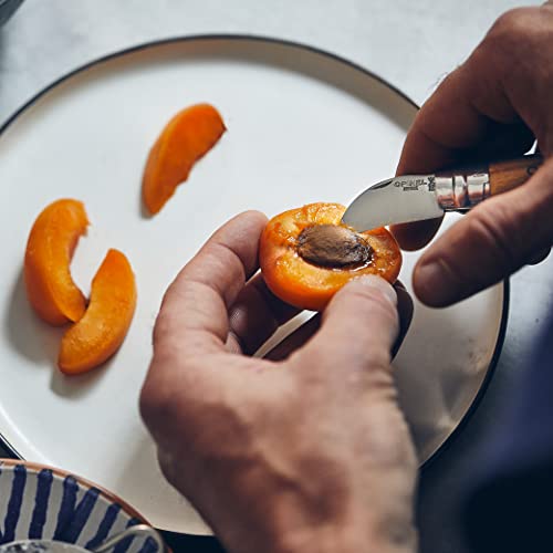 Opinel No.7 Folding Chestnut and Garlic Knife, European Chestnut Wood Handle, 12C27 Stainless Steel Blade Opinel