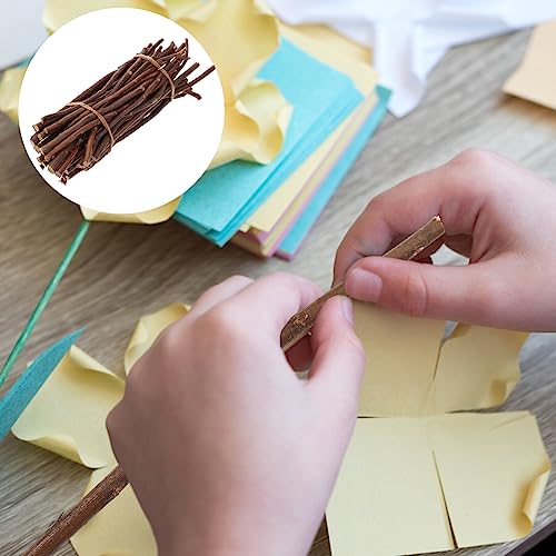 SEWACC 50pcs Branch Material Natural Wood Log Sticks Wooden Dowel Rod Cane Accessories Birch Wood Sticks Dry Wooden Sticks Vase Wood Crafts DIY