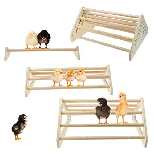 CooShou 3 Pack Chick Perch Chick Toys Chick Wooden Roosting Bar Chick Jungle Gym Perch Stand for Chicken Brooder, Coop Baby Chicks CooShou
