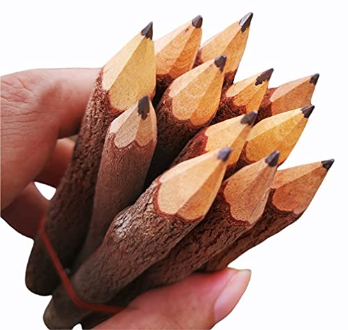 NUTTA - 12 Pencils Graphite Wooden Pencils Rustic Branch & Twig Wood Pencil Home Decoration or Gift Handmade Wooden Craft DIY Decorate Room Decor - WoodArtSupply