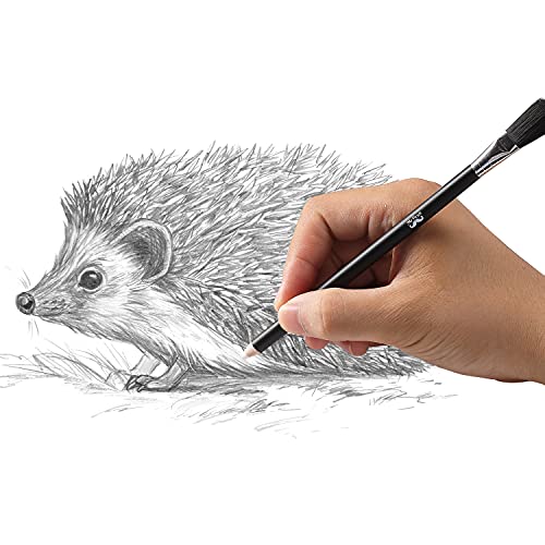 Mr. Pen- Eraser Pencil with Brush, 3 pcs, 2 Eraser Pencils with Brush and 1 Sharpener, Pencil Brush Eraser, Pencil Eraser with Brush, Eraser Pencils Mr. Pen