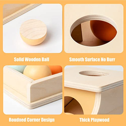 Busy edition Montessori Toys Object Permanence Box Soft Sound Wooden Color Baby Ball Drop Play for 6 Month 1 2 3 Year Old Toddlers Infant Early Age