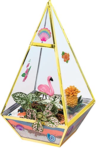 Creativity for Kids Tropical Terrarium Craft Kit - Kids Terrarium Kit for Ages 7+, STEAM Activity - WoodArtSupply