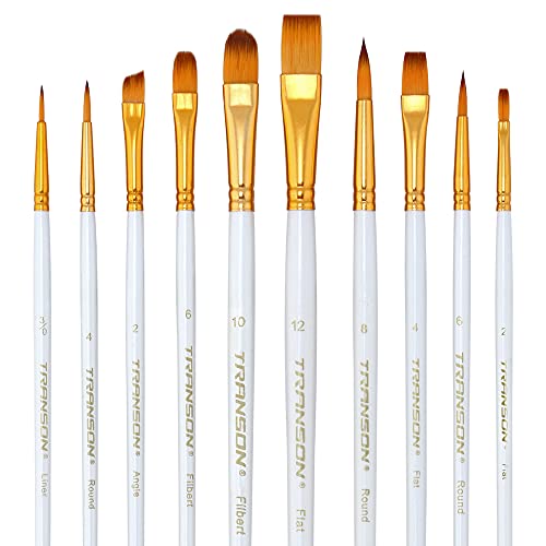 Transon 20pcs Artist Painting Brush Set for Acrylic Watercolor Gouache Hobby Craft Face Rock Painting White TRANSON