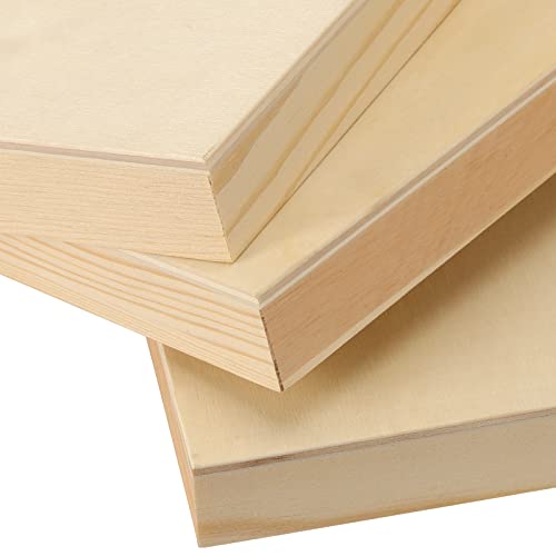 ZEONHEI 10 Pcs 8 x 8 Inch Wood Canvas Boards for Painting, Unfinished Wood  Canvas Panels for DIY Art Projects, Square Wood Panels for Crafts