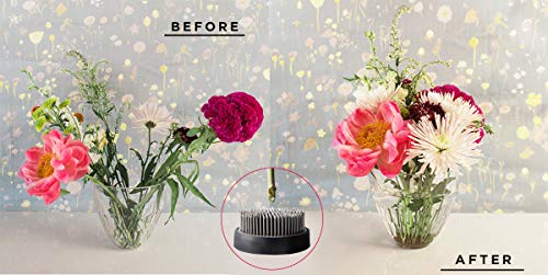 JUSTDOLIFE Flower Frogs Stainless Floral Frogs Kenzan Flower Vase Round Metal Flower Arranger Tool Pin Holder Ikebana Flower Pin Frogs for Vase - WoodArtSupply