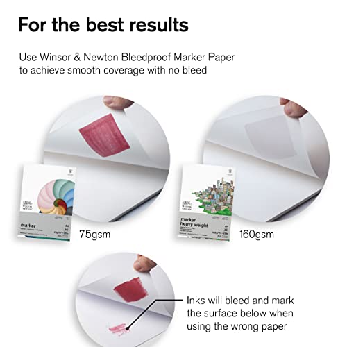 Winsor & Newton ProMarker Set, 12 Count, Skin Tones Winsor & Newton