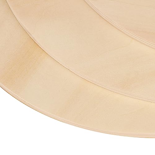 12 PCS 12 Inch Unfinished Wood Circles, Thickness 6mm, Wooden Rounds for Crafts, Wood Discs for DIY Painting Decorations, Weddings and Parties,by