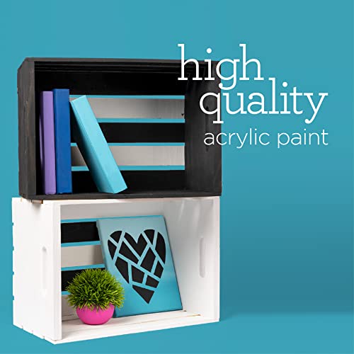 Apple Barrel White One Gallon (128 fl oz), Matte Finish Color, Drawing & Art Supplies, DIY Arts and Crafts Acrylic Paint, 1 Gallon (Pack of 1) Apple Barrel