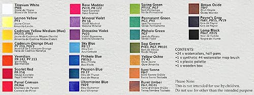 Viburnum Art Professional Watercolor Paint Set - 24 Half Pan Highly Pigmented Transparent Water Color Paints with #4 Synthetic Water color Brush, - WoodArtSupply