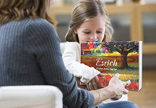 ESRICH 40PCS Acrylic Paint Set,Professional Painting Supplies with Acrylic Paint,Canvas Panels,Paint Brushes,Paint Knife,Sponge,Plastic Palette and ESRICH