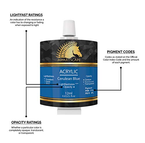 MyArtscape Artist Quality Painting Set - Acrylic Paint - 12 x 12ml Tubes - and Miniature Paint Brushes with Ultra-durable Carry Case Holder MyArtscape