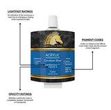 MyArtscape Artist Quality Painting Set - Acrylic Paint Set - 12 x 12ml Tubes - with Premium Set of 15 Short Handle Art Brushes for Watercolor, MyArtscape