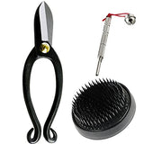Wazakura Made in Japan Ikebana for Beginners Tool Kit, Ikenobo Scissors, Black Kenzan Holder, Cleaner, Flower Arrangement Set, Florist Shears & Pin Wazakura