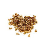 Small Screw, BLUELEC Antique Style AntiOxidative Finish Wood Screws for Fastening Plank, Plastic Materials or Resin Plywood, 45° Flat Head, Phillips BLUELEC