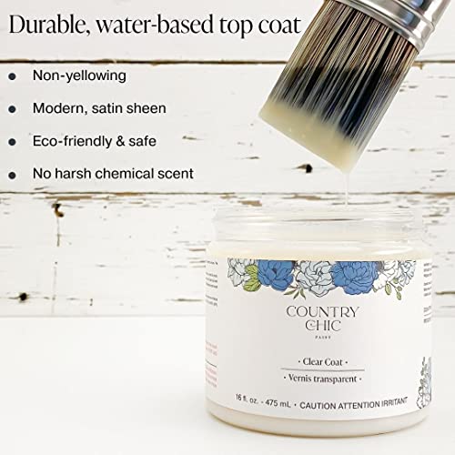 Country Chic Paint Furniture Painting Kit for Beginners Eco-Friendly DIY Chalk Style Furniture Paint, Paint Brush, & Durable Clear Top Coat Bundle - Country Chic Paint