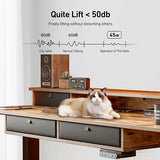 FEZIBO 55 x 24 Electric Standing Desk Adjustable Height with 4 Drawers, Sit Stand Desk with Storage Shelf, Rising Desk with Splice Board, Black FEZIBO