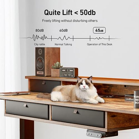 FEZIBO 55 x 24 Electric Standing Desk Adjustable Height with 4 Drawers, Sit Stand Desk with Storage Shelf, Rising Desk with Splice Board, Black FEZIBO