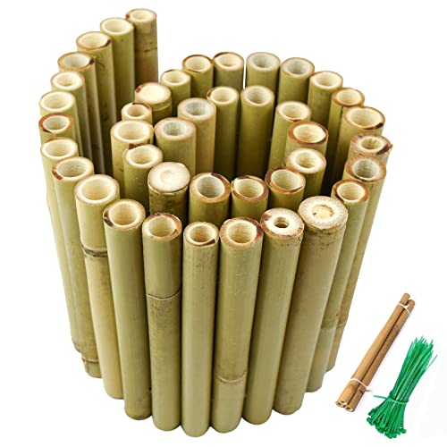 Jollybower 8x39IN Natural Bamboo Edging, Bamboo Garden Border Edging, Outdoor Landscape Edging for Decorative Garden, Patio Flower Garden Bed, Lawn, - WoodArtSupply