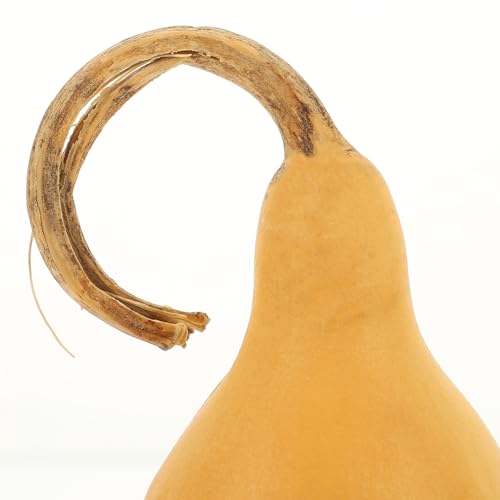 VOSAREA Natural Dried Gourds 2pcs Unfinished Wood Gourd Bottle DIY Painting Wood Peg Doll Dried Gourds for Crafts Arts Chinese Gourd Bottle Feng Shui VOSAREA