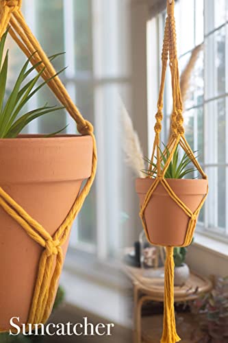 Macrame Kit, Makes 3 DIY Plant Hangers for Teens & Adult Beginners, Craft Supplies for Boho Art Project-3 Custom Color Macrame Cord, Wooden Rings & - WoodArtSupply