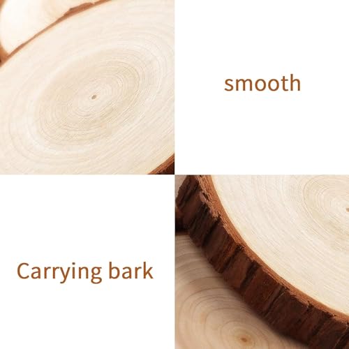 5 PCS Natural Wood Slices,3-4 inch Wood Rounds,Christmas Crafts,Round Wood Discs for Crafts (5)