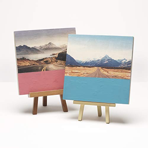 Mod Podge Photo Transfer Medium (8-Ounce), CS15067 Mod Podge