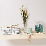 Foraineam 1000 Pieces Wood Beads Unfinished Natural Wooden Loose Beads Round Spacer Beads for Craft Making (6mm, 8mm, 10mm, 12mm, 14mm, 16mm, 20mm) Foraineam