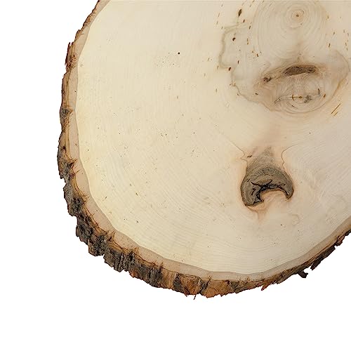 Walnut Hollow Rustic Basswood Round, Extra Large 12-14" Wide with Live Edge Wood (Pack of 6) - for Wood Burning, Home Décor, and Rustic Weddings - WoodArtSupply