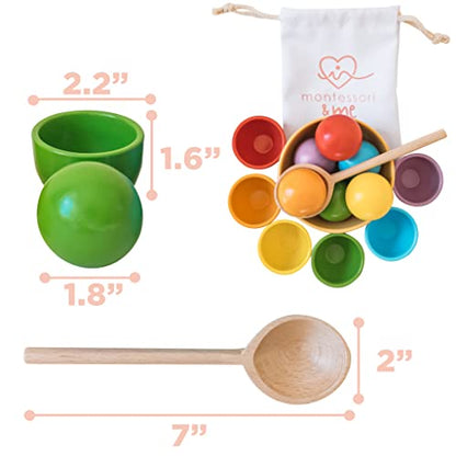 Montessori Large Rainbow Colored Sorting Ball in Cup | Preschool Color Matching Toy | Gross Motor Transfer Activity | 6 Toddler Safe Wooden Balls