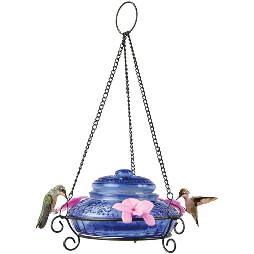 Nature's Way Bird Products ANTHF2-I Illuminated Antique Top-Fill Hummingbird Feeder, Light Blue/Pink Nature's Way
