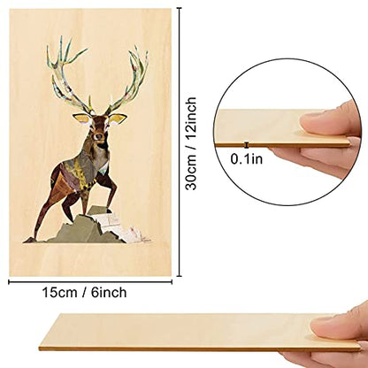 Unfinished Blank Plywood Sheets- 12 Pcs 12"x6" Balsa Wood Board Sheets for Crafts, Wood Burning, House DIY Wooden Model, for Arts and Crafts, School