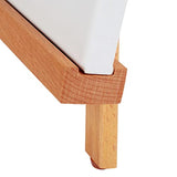 Falling in Art Beechwood 25’’ Tabletop Easel Display Stand Set for Painting- Holding Canvas Up to 22 1/2 Inches High, 2 Pack Artist A-Frame Tripod Falling in Art