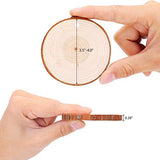 Fuyit Natural Wood Slices 20 Pcs 3.5-4 Inches Craft Wood Kit Unfinished Predrilled with Hole Wooden Circles Tree Slices for Arts and Crafts Christmas Fuyit