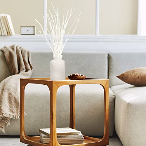 SOUJOY 30 PCS Willow Branches, Decorative Dried Curly Branches, 10'', 12'' Natural Wood Diffuser Stick for Vase, Craft DIY, Home, Office SOUJOY