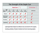 KeLDE Electric Staple/Nail Gun Kit, Braid Nailer, 120V Corded Power Stapler Set, Includes 900pcs T50 Staples and 300pcs 15mm Nails KeLDE