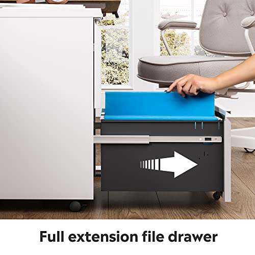 DEVAISE 2-Drawer Mobile File Cabinet with Lock, Commercial Vertical Cabinet, White DEVAISE