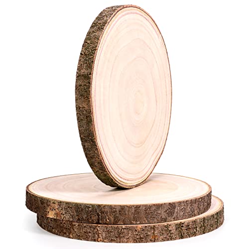 Caydo 3 Pieces 9-11 Inch Wood Slices for Wedding Centerpieces, Table Centerpieces, DIY Painting Projects, Baby Showers, Housewarming, Christmas and
