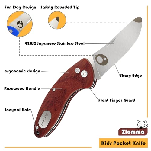 ZLemma Kids Pocket Knife with Sheath Set - Stainless Steel Children’s Folding Pocket Knife with Safety Rounded Tip - WoodArtSupply