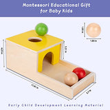 Montessori Box Toys Toddler Play Kit Coin Box, Carrot Harvest Game and Matchstick Color Drop Game (4-for-1) Adena Montessori