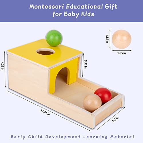 Montessori Box Toys Toddler Play Kit Coin Box, Carrot Harvest Game and Matchstick Color Drop Game (4-for-1) - WoodArtSupply