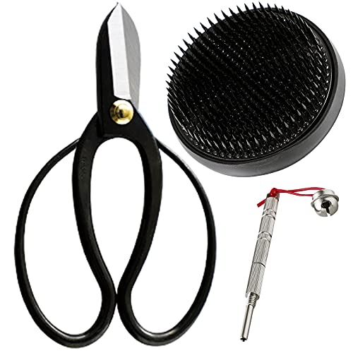 Wazakura Made in Japan Ikebana for Beginners Tool Kit. Koryu Scissors, Black Kenzan Flower Holder, Cleaner. Floral Arrangement Set, Florist Shears & Wazakura